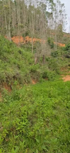 BLACK JOIA RARA NAS MONTANHAS DE DOMINGOS MARTINS/ES - A OPORTUNIDADE QUE ESTAVA ESPERANDO