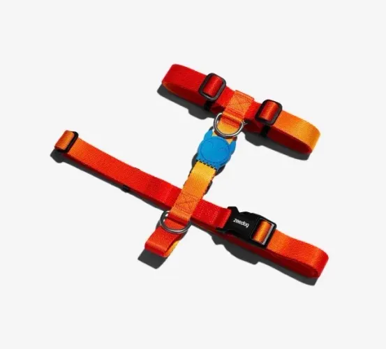 Coleira peitoral zeedog