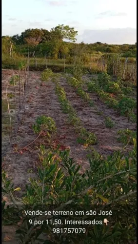 Vendas de terreno em são José de touros 