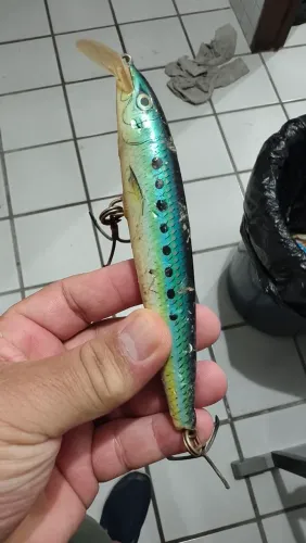 Rapala Magno floating 14 cm