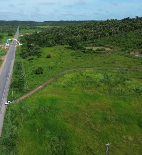 Vende-se uma Fazenda na entrada da cidade de Chapadinha/MA, 400 hectares, prontinha.
