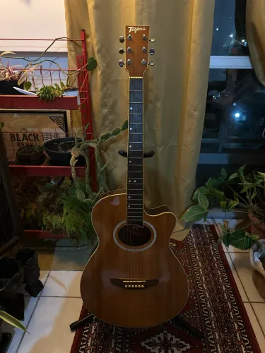 Violão Tagima Dallas 