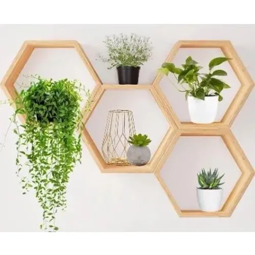 4 Prateleiras Hexagonal de Madeira para Plantas