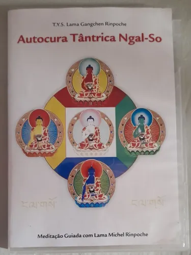 DVD Meditação Guiada com Lama Michel Rinpoche Autocura Tântrica Na-So