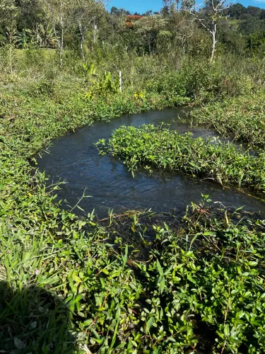 Chácara com água corrente