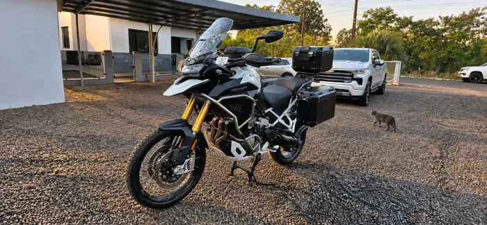 Vendo tiger rally explorer