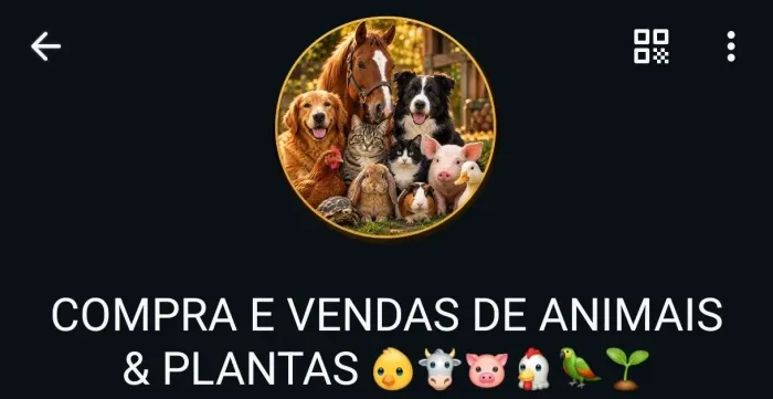 Animais 