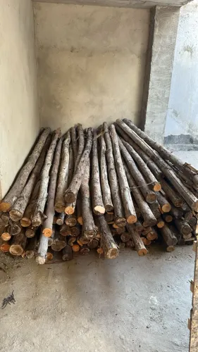 Escoras para laje 