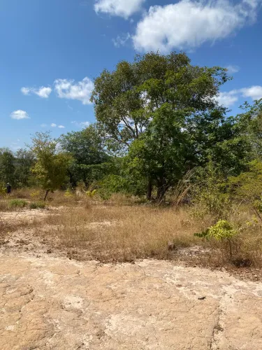 Terreno no Loteamento Bacuri próx Dermeval Lobão