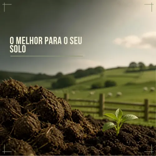 Esterco Ovino Orgânico