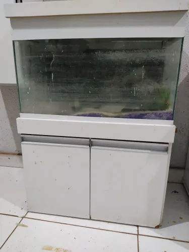Aquário+suporte