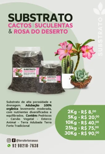 Substrato para cactos suculentas e rosa do deserto 
