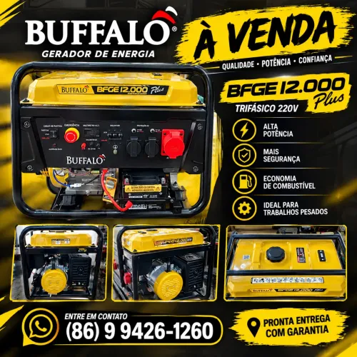 Gerador Buffalo 12,5 kva plus novo