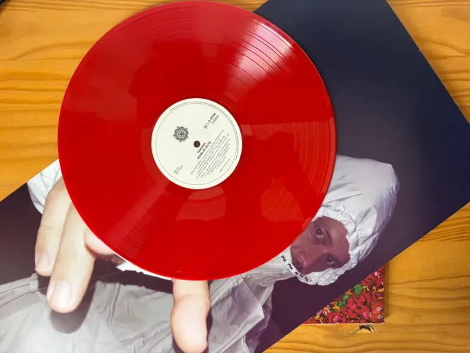 Disco de Vinil LP Curumin - Pedra de Selva
