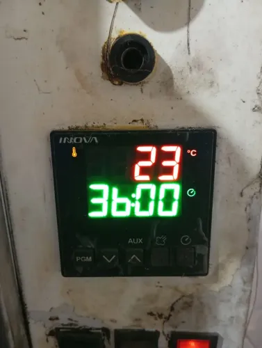 Forno progás 5 grades 