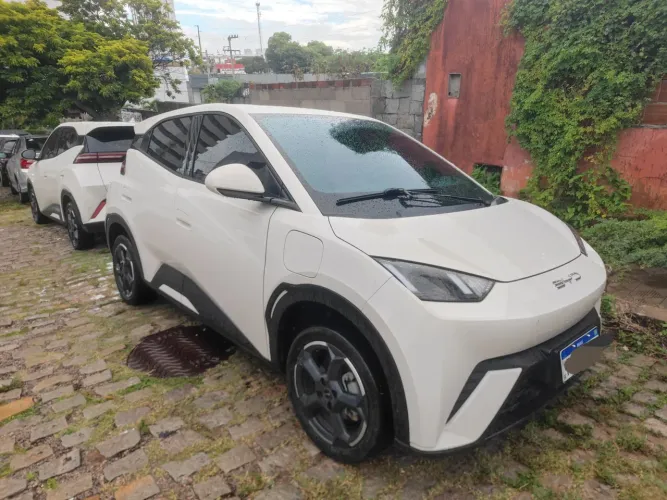 BYD Dolphin Mini (Elétrico) 2025