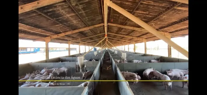 Vendo Granja em Operação Integrada MBRF - 2.400 Suínos - *