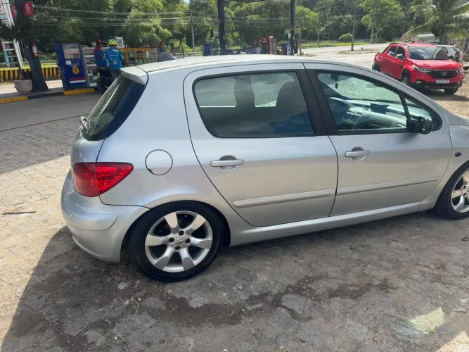 Peugeot 307 Soleil/ Presence 1.6/1.6 Flex 16V 5P 2009