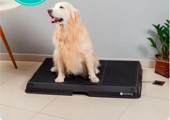 Banheiro para cachorro