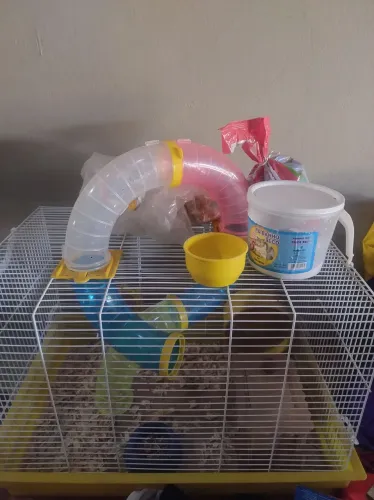 Gaiola hamster