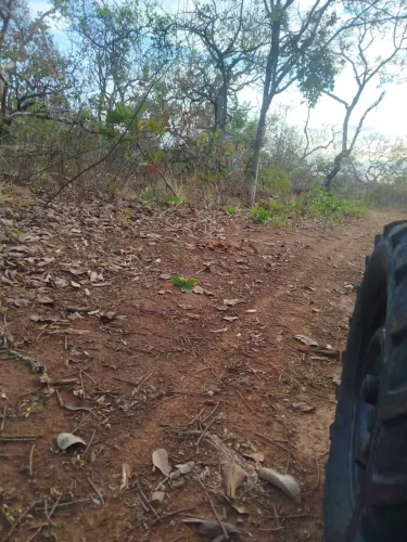 Vende se fazenda 140 alqueires em Goiás velho