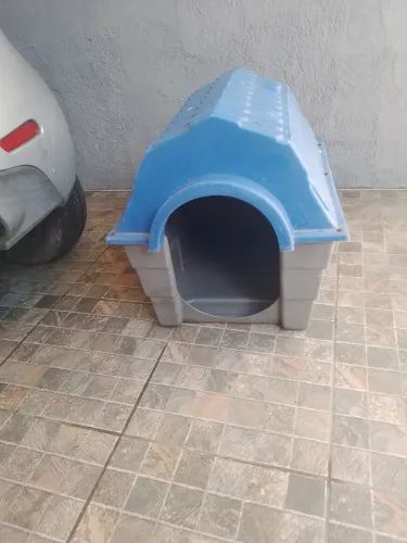 Casinha pra cachorro só 60 reais 