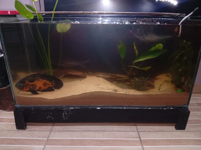Aquário com vidro diamantados 234 LT