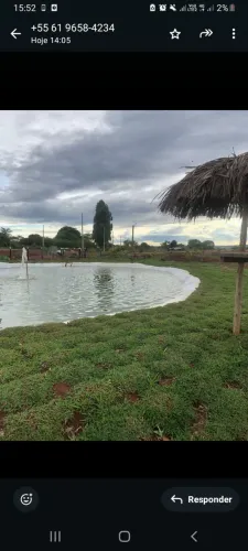 Grama Batatais Direto da Fazenda