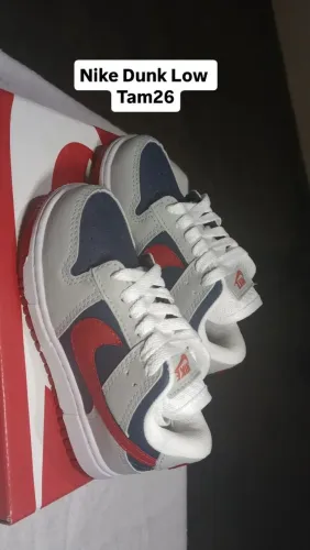 Tênis infantil nike dunk Low tam26
