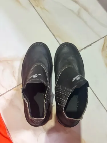 Bota