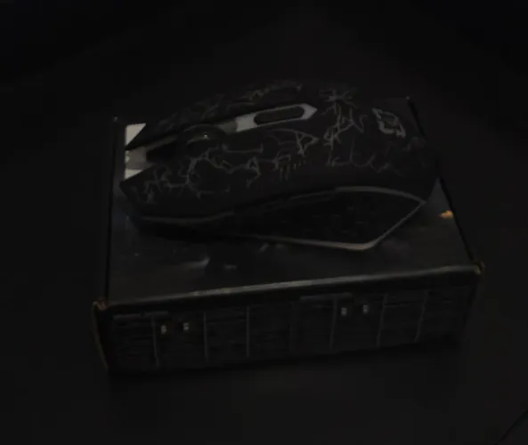 Mouse gamer