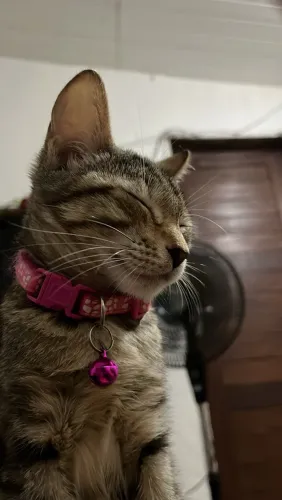 Doação