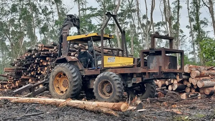 Munck florestal 