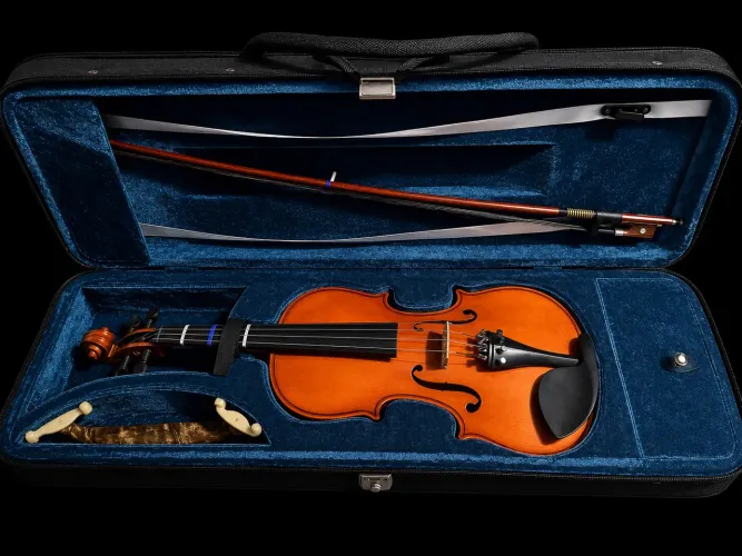 Vendo Violino Eagle.