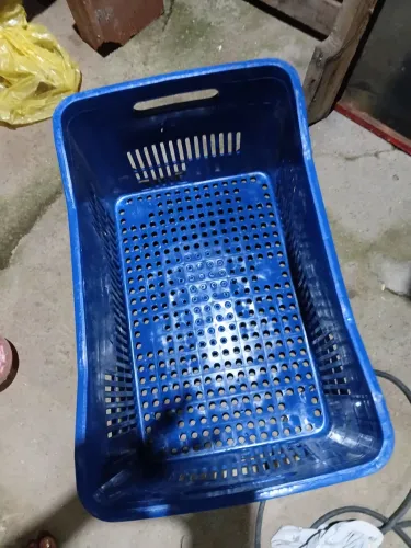 Bancas de Hortifruti caixas