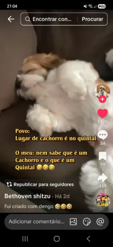 Maca de estética