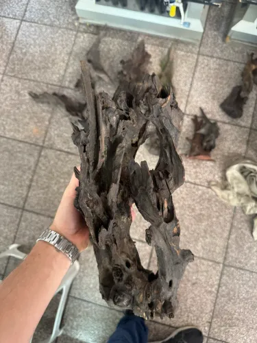 Troncos para aquário 