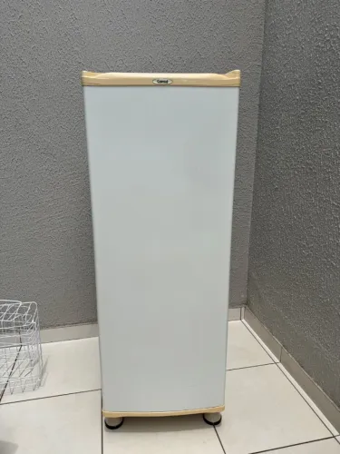 Freezer Vertical