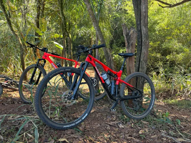 Caloi elite full carbon