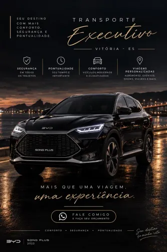 Motorista Executivo