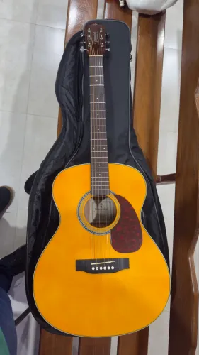 VENDO VIOLÃO GIANINI PERFORMANCE!