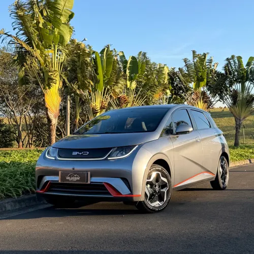 BYD Dolphin EV (Elétrico) 2024