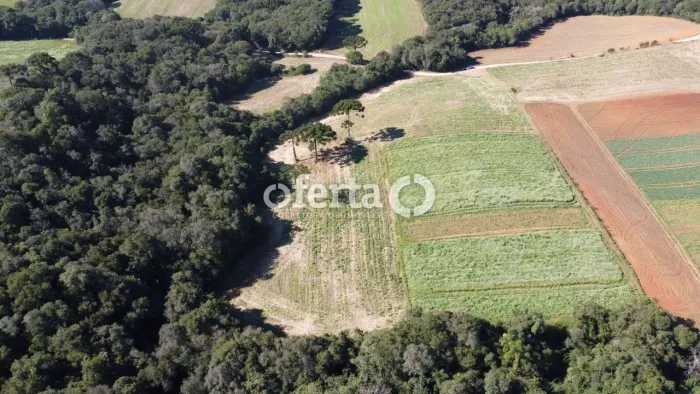 Chácara no Campestre - Araucária / PR