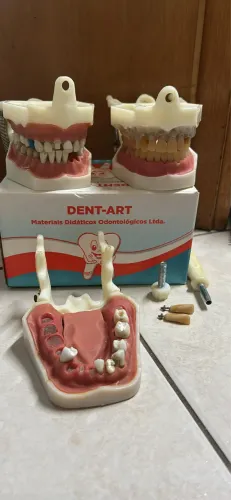 Lote 3 Manequins Odontológicos Dent-Art (Prótese Fixa, Perio e Endo
