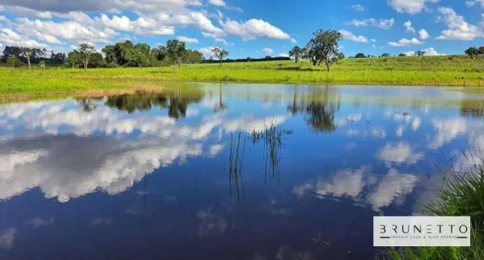 Sítio com 3 dormitórios à venda, 196020 m² por R$ 2.400.000 - Zona Rural - Tanabi/SP