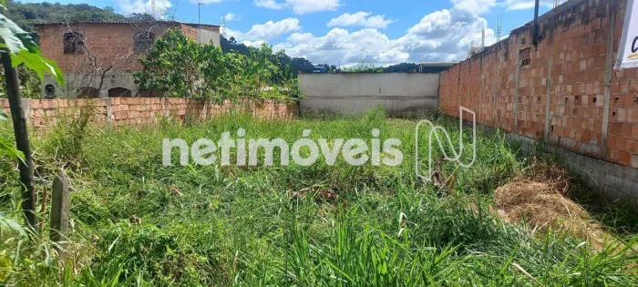 Venda Lote-Área-Terreno Tupã Contagem