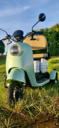 Triciclo Elétrico Kappak King 1000W Sem CNH - 297KM