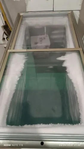 Freezer horizontal
