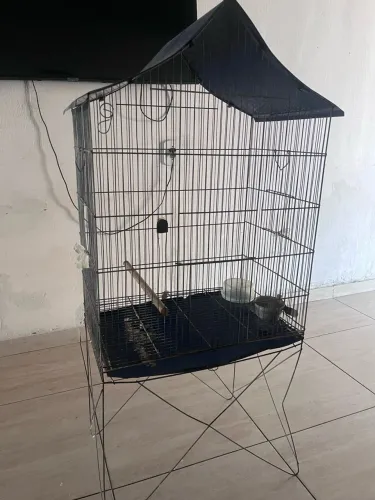 Gaiola 