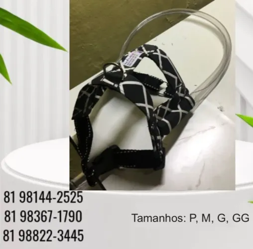 Coleiras para pet com deficiência visual 